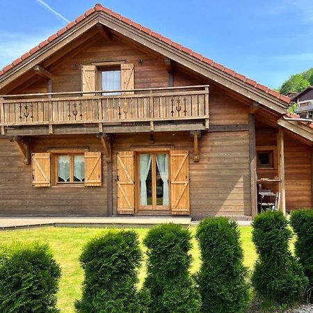 Le Chalet Du Pere Michel, Jacuzzi, Sauna, Jardin La Bresse Εξωτερικό φωτογραφία