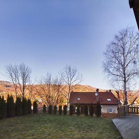 Le Chalet Du Pere Michel, Jacuzzi, Sauna, Jardin La Bresse Εξωτερικό φωτογραφία