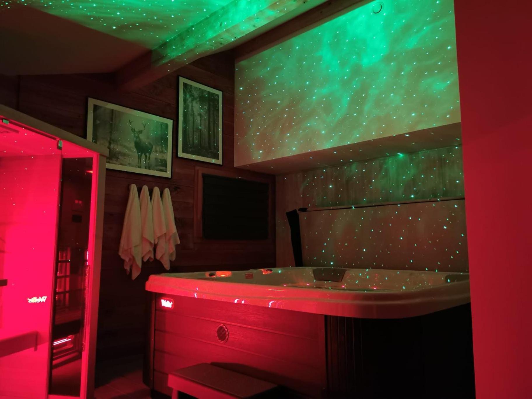 Le Chalet Du Pere Michel, Jacuzzi, Sauna, Jardin La Bresse Εξωτερικό φωτογραφία