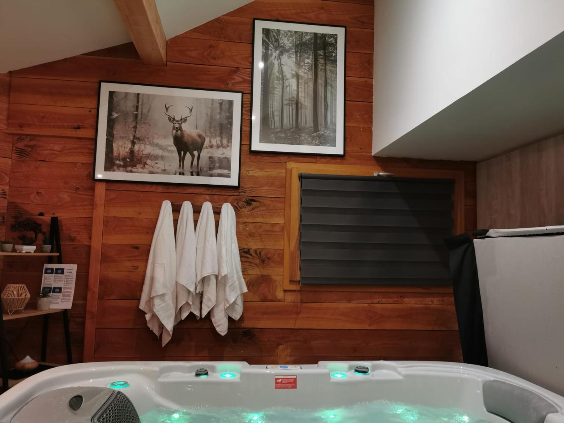 Le Chalet Du Pere Michel, Jacuzzi, Sauna, Jardin La Bresse Εξωτερικό φωτογραφία
