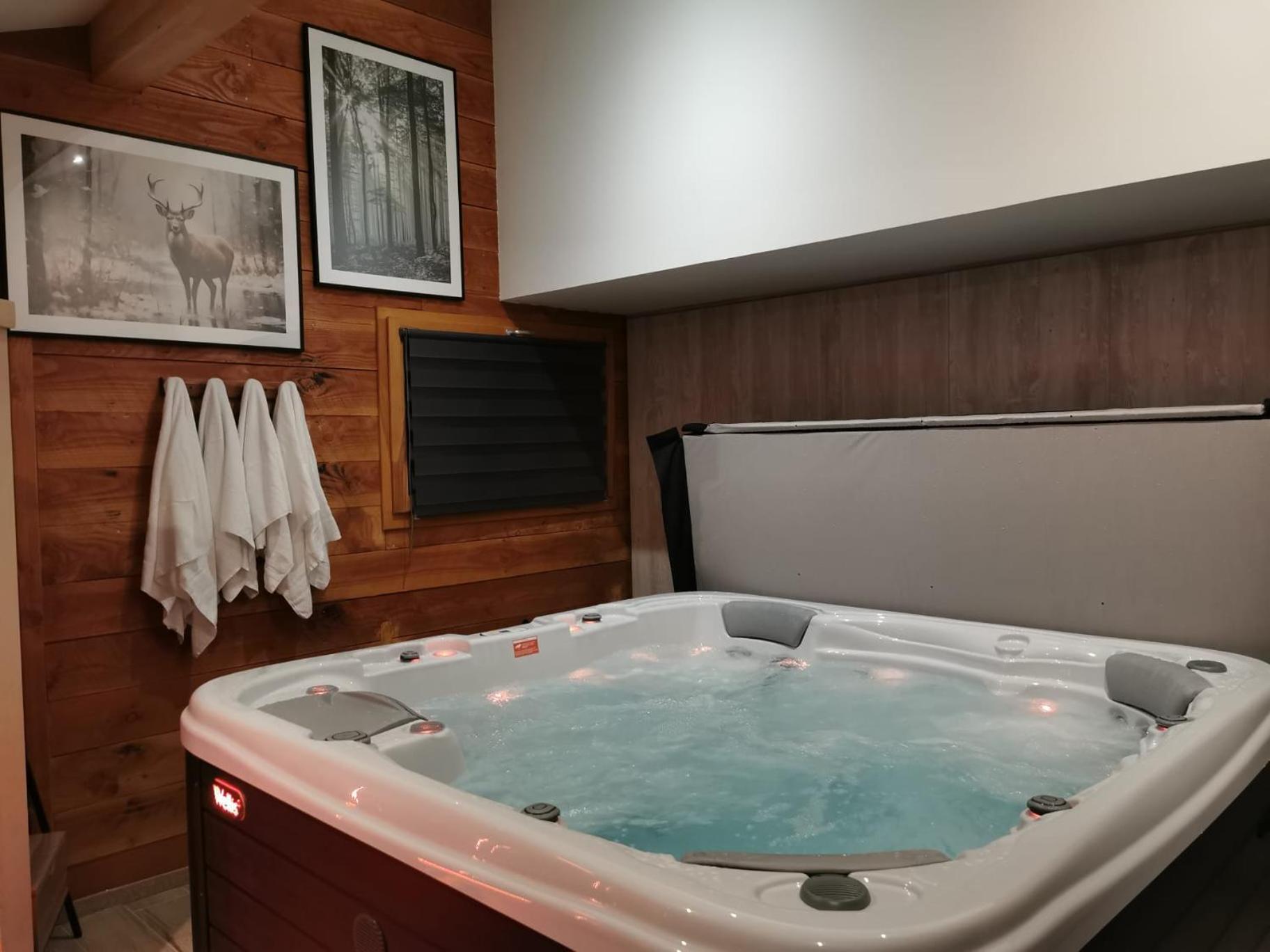 Le Chalet Du Pere Michel, Jacuzzi, Sauna, Jardin La Bresse Εξωτερικό φωτογραφία